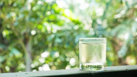 Берёзовый сок в Гомеле: когда начнут продавать и сколько стоит