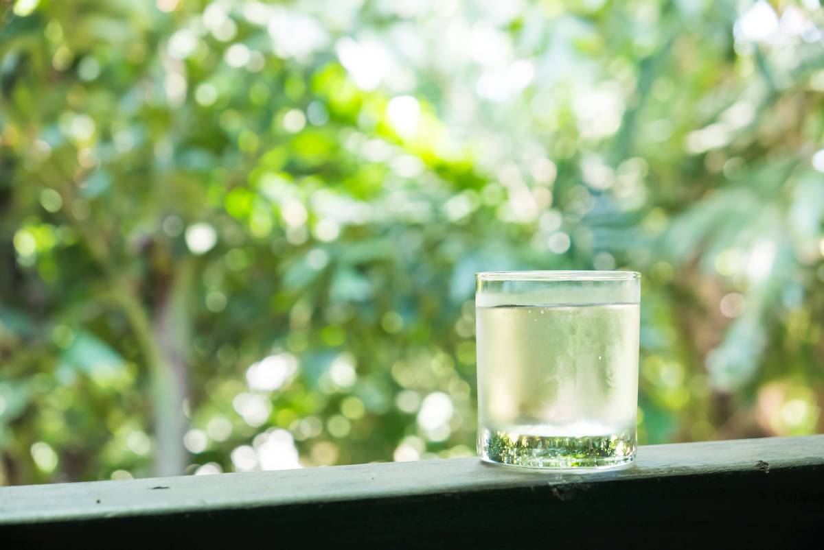 Берёзовый сок в Гомеле: когда начнут продавать и сколько стоит