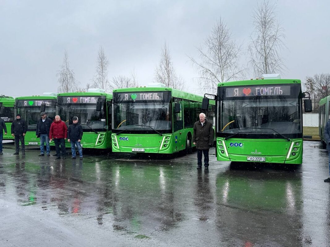 — МАЗ-216 — 56 автобусов