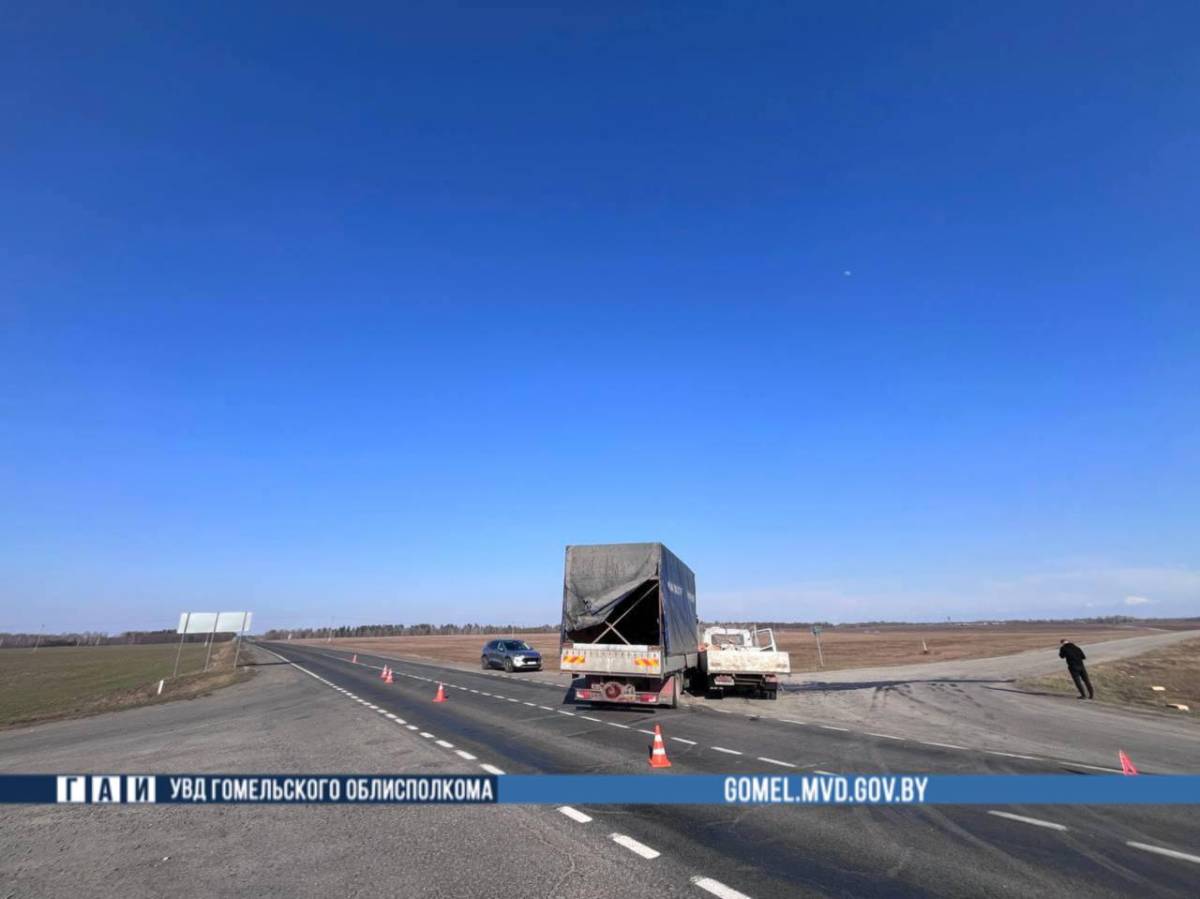 Авария в Добрушском районе