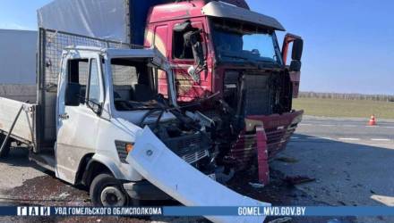 ДТП произошло 27 марта около 15:10 в Добрушском районе.