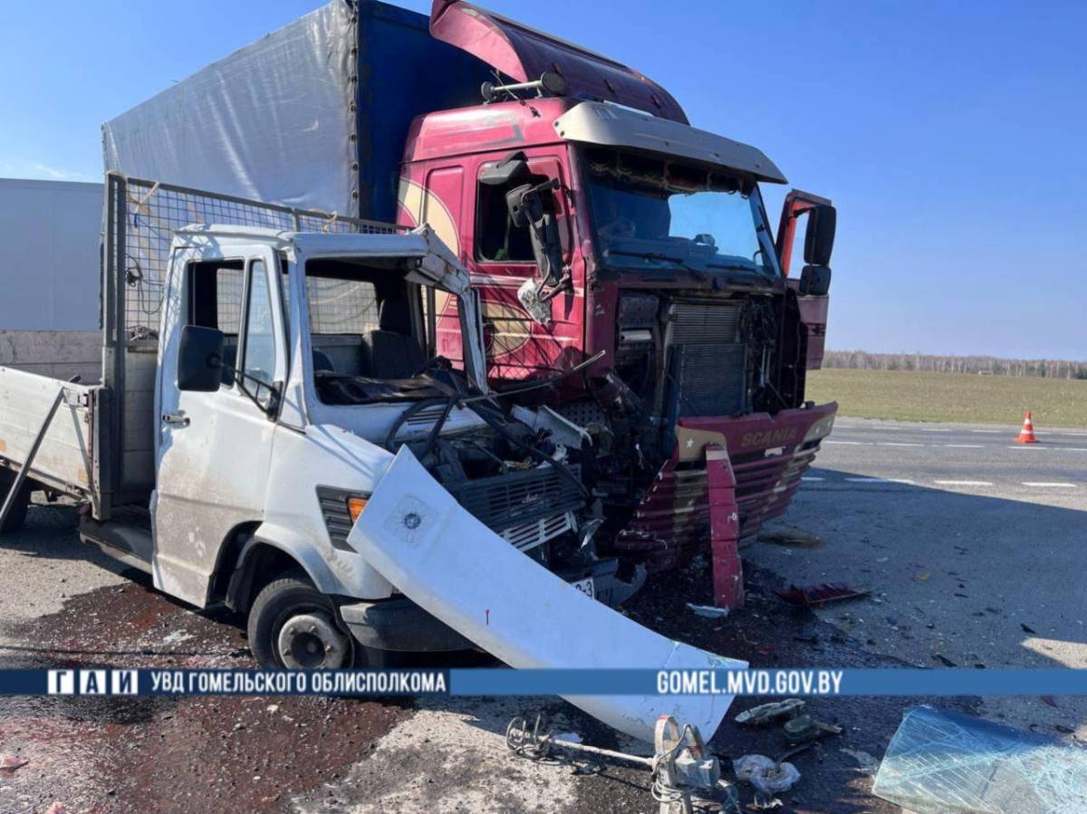 ДТП произошло 27 марта около 15:10 в Добрушском районе.