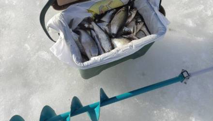 На Роповском озере в Гомеле — «рыбы тьма»: улов гомельчанина