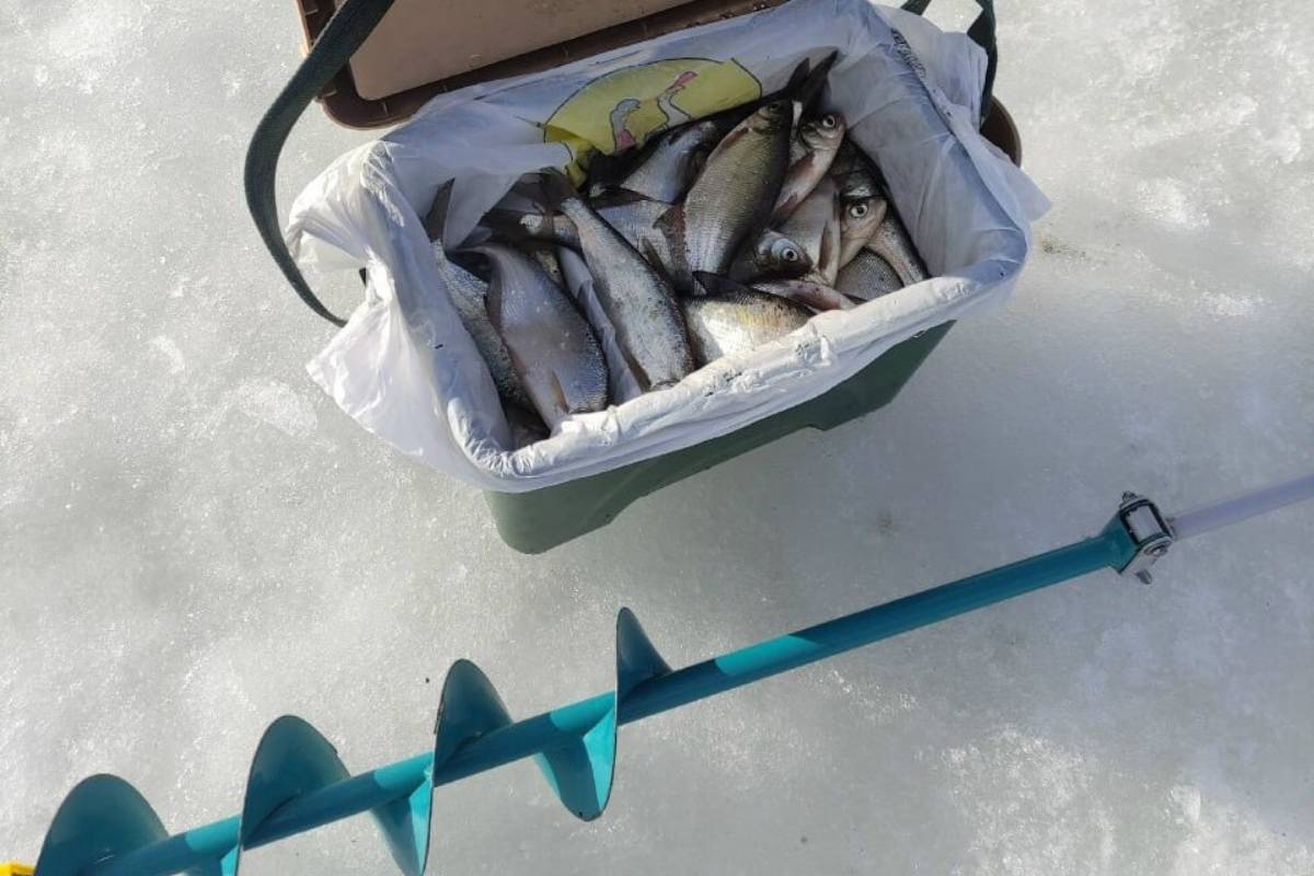 На Роповском озере в Гомеле — «рыбы тьма»: улов гомельчанина