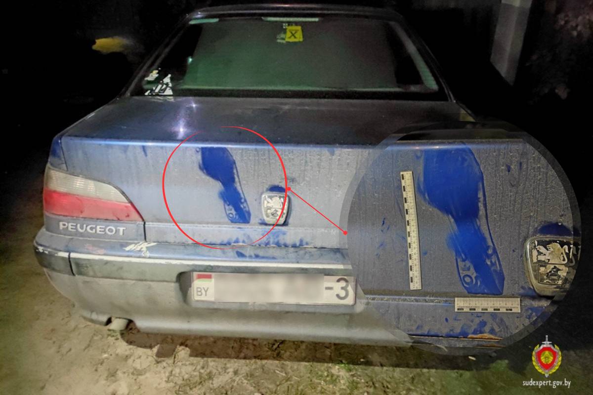 Вышел из тюрьмы — и снова уголовка: инцидент в Лоеве