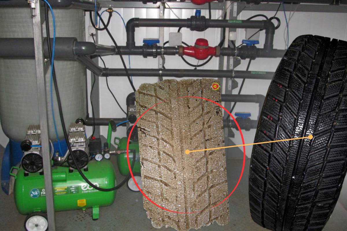 Кражу без взлома раскрыли по следу шины под Гомелем