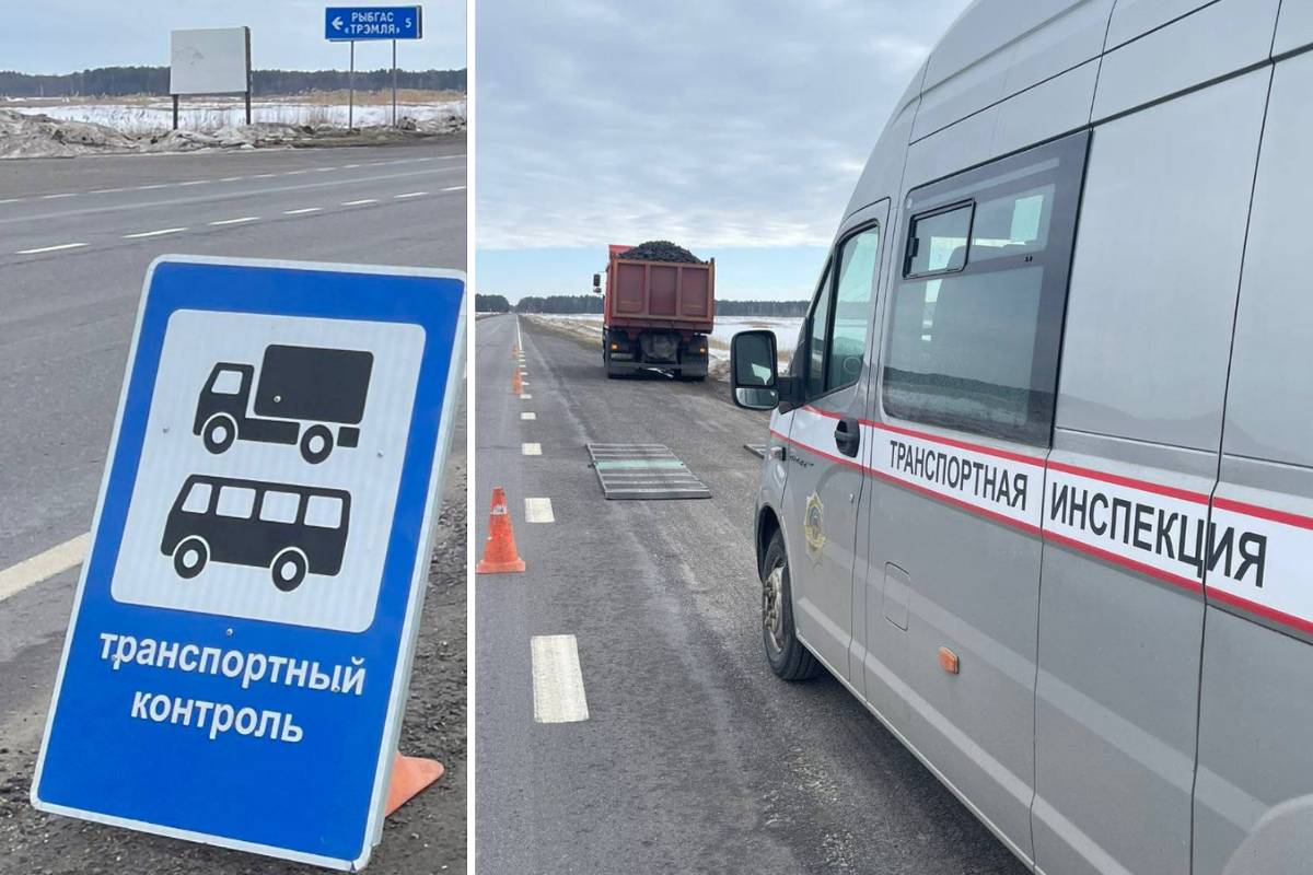 Перегруз на дорогах Мозыря: штраф перевозчику