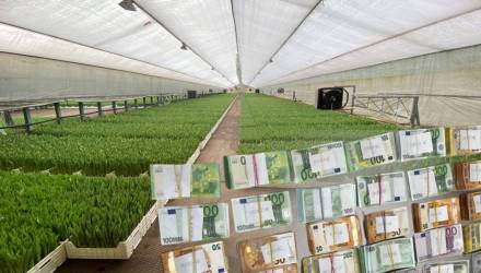 10 млн рублей сокрытой выручки - цветочный бизнес под следствием