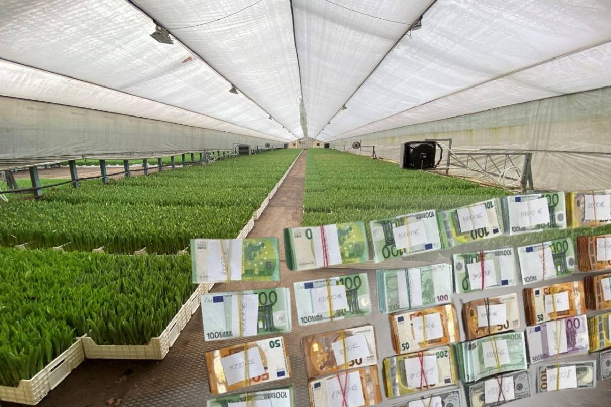 10 млн рублей сокрытой выручки - цветочный бизнес под следствием
