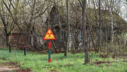 Посещение кладбищ в зонах отселения: правила