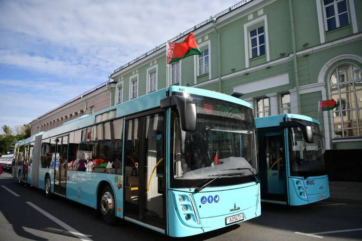 Отчёт «Гомельоблавтотранс» за 2025: выручка выросла, показатели перевозок снизились