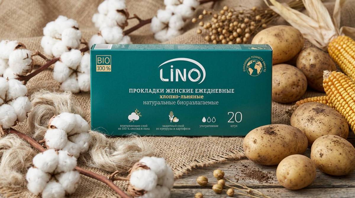 Новости Гомеля