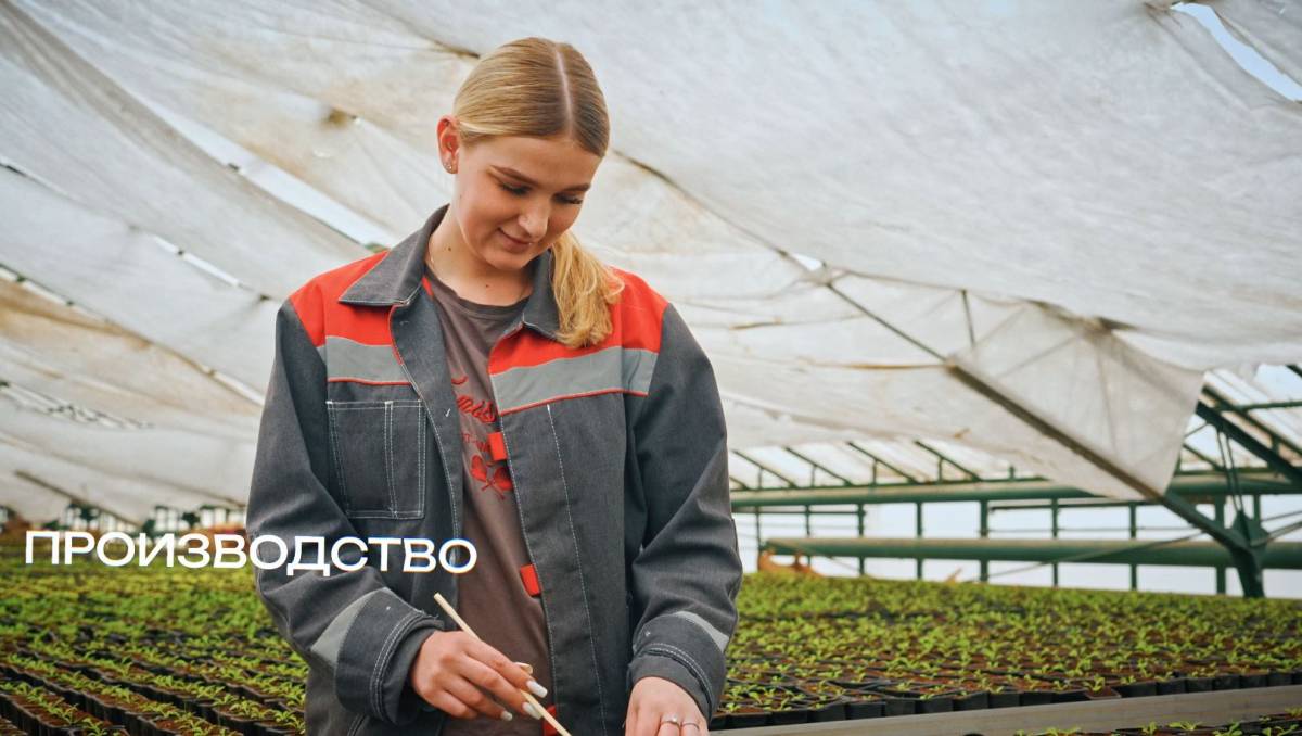 Где пройдет ярмарка: полный график по датам