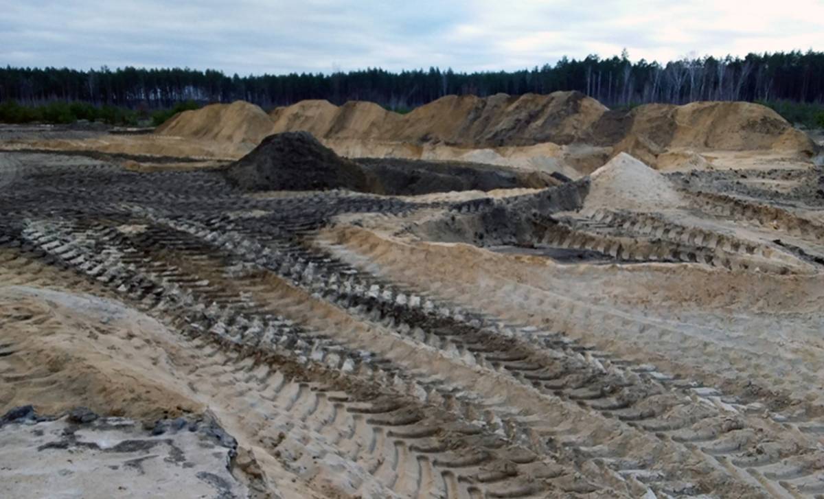 Проверки прокуратуры Гомеля и нарушения экологии