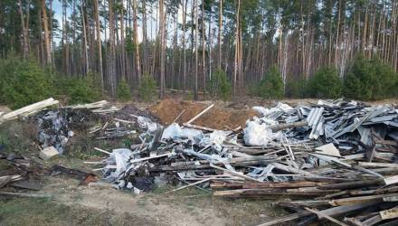 После проверок прокуратуры Гомеля к ответственности привлекли 19 человек. Они уже возместили ущерб за вред окружающей среде — общая сумма превысила 7,5 тысячи рублей.