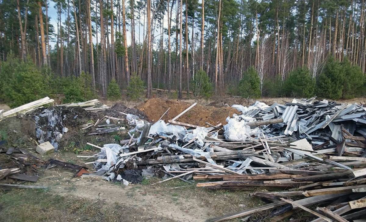 После проверок прокуратуры Гомеля к ответственности привлекли 19 человек. Они уже возместили ущерб за вред окружающей среде — общая сумма превысила 7,5 тысячи рублей.