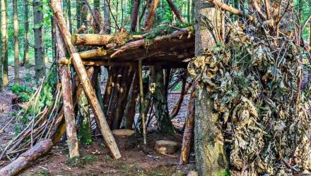 Житель Жлобина скрывался от долгов в лесу — его нашли