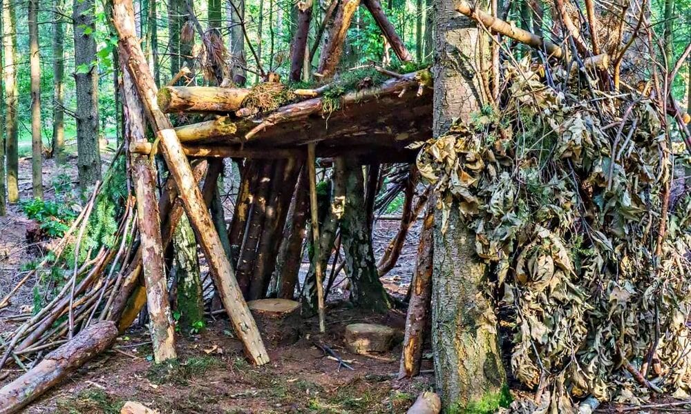 Житель Жлобина скрывался от долгов в лесу — его нашли