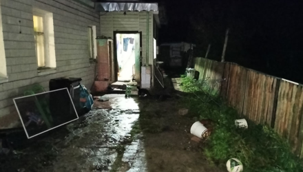 Жестокое преступление в Добруше: что установило следствие