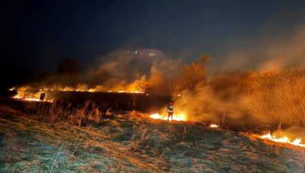 С начала года — 287 пожаров: Гомельщина в огне из-за палов травы