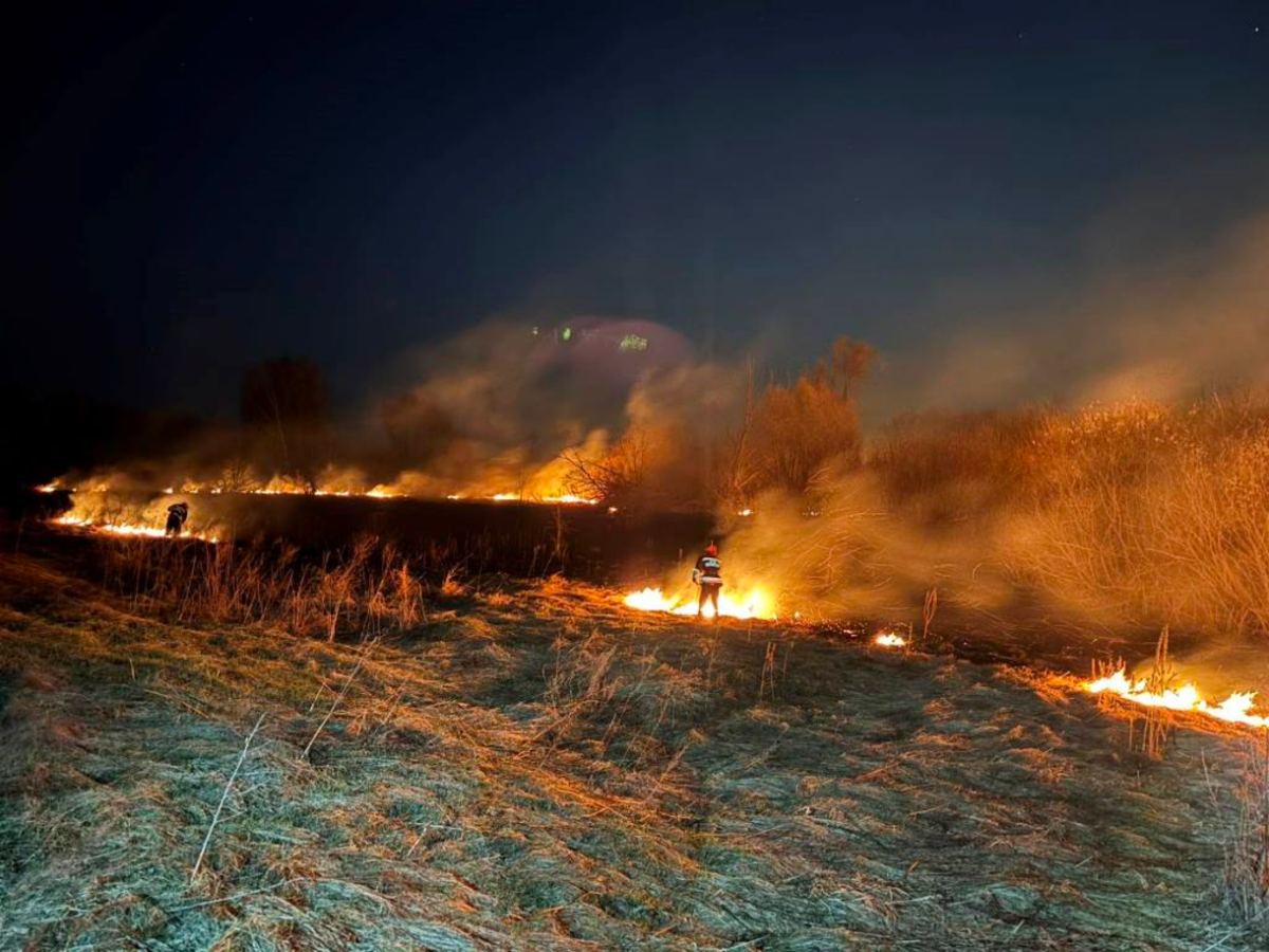 С начала года — 287 пожаров: Гомельщина в огне из-за палов травы