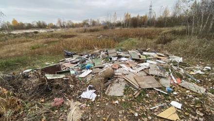 В Гомеле выявили сотни нарушений санитарного состояния