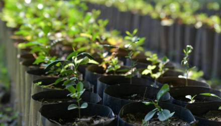 Ярмарки в Гомеле