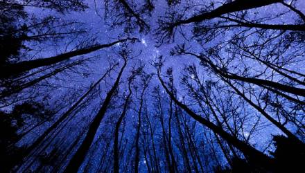 Новости Беларуси