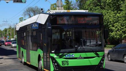 Ночной транспорт в Гомеле на Пасху: маршруты и время