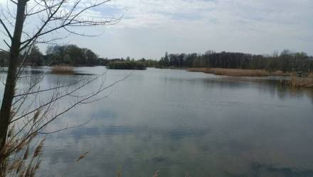 В Гомеле в озере нашли тело мужчины, пропавшего в марте