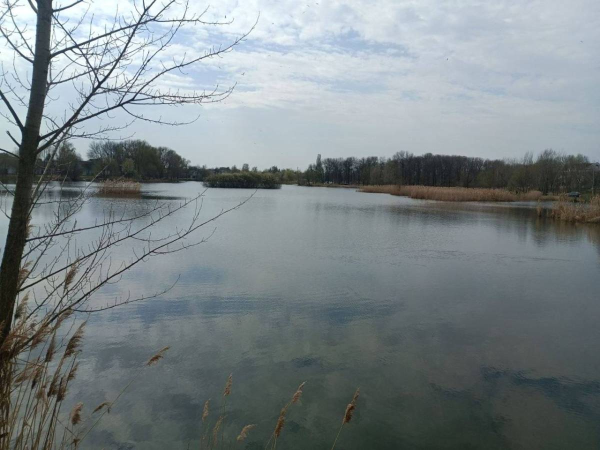 В Гомеле в озере нашли тело мужчины, пропавшего в марте