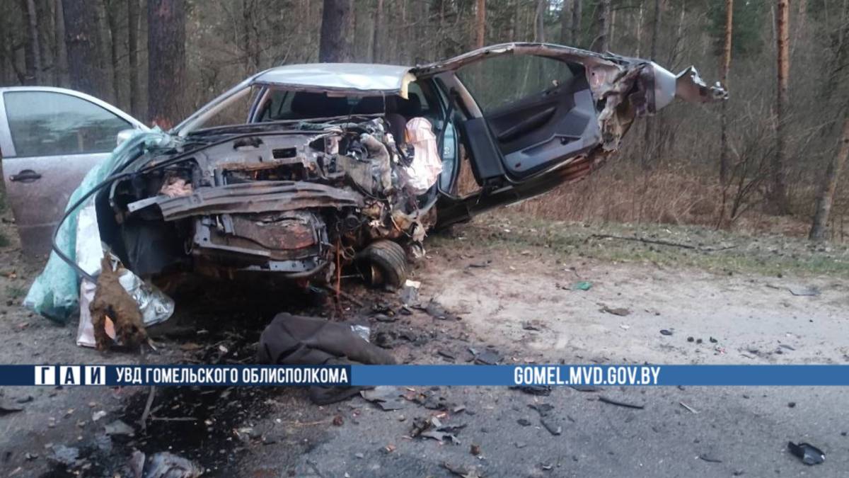 Водитель Skoda, по предварительной информации, просто уснул за рулём