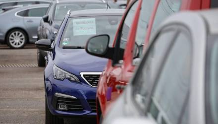 Ошиблись в декларации на авто — рискуете получить штраф. Как этого избежать?