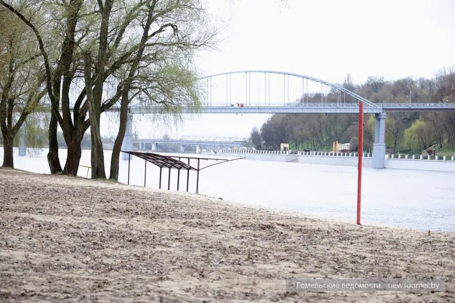 Новости Гомеля