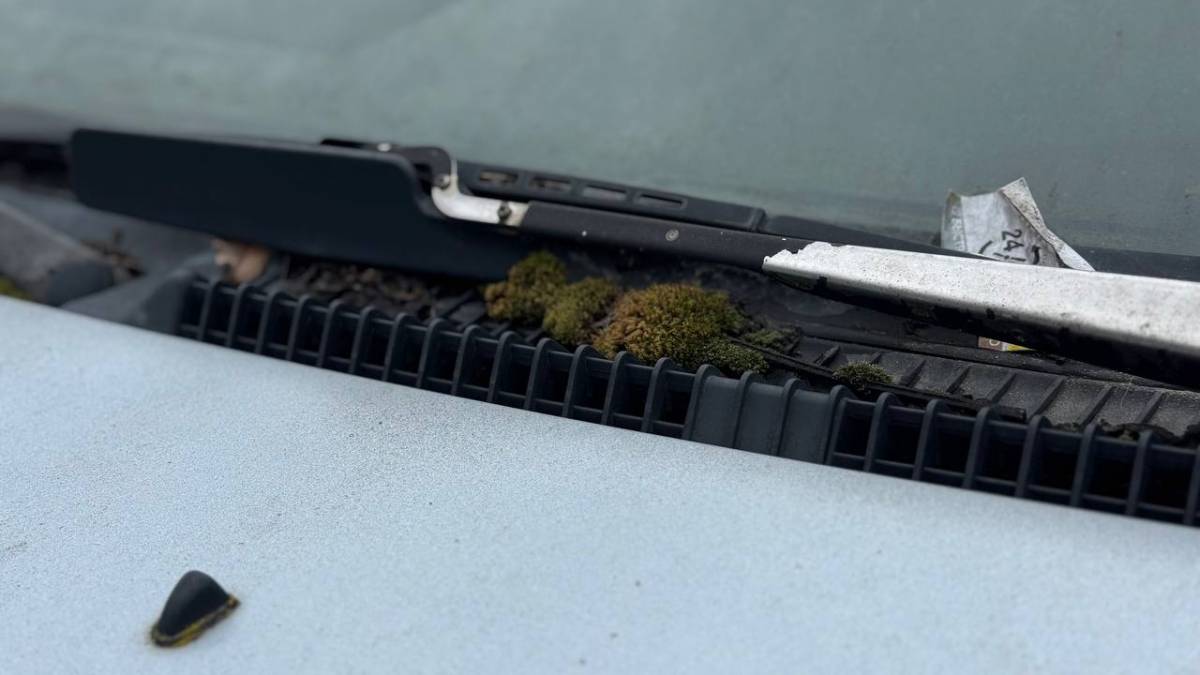 Если установить владельца не удаётся или он игнорирует требования, автомобиль эвакуируют на охраняемую стоянку.