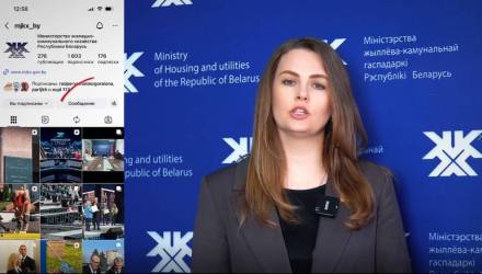 Власти прокомментировали ситуацию с отловом животных