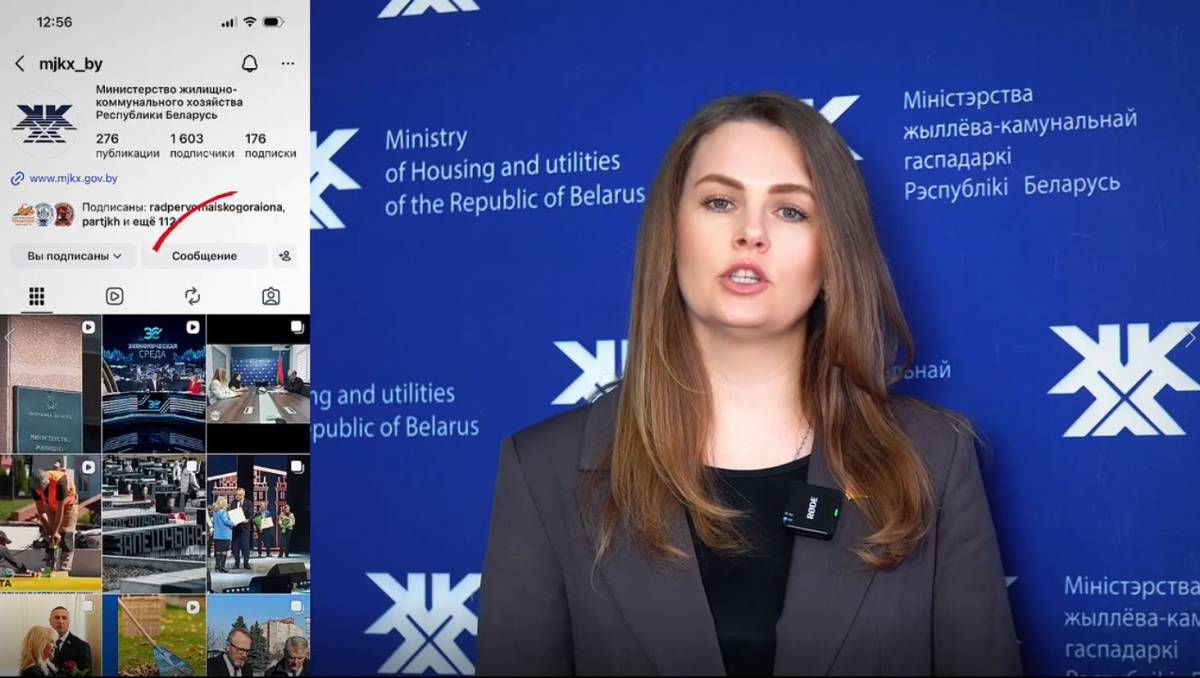 Власти прокомментировали ситуацию с отловом животных