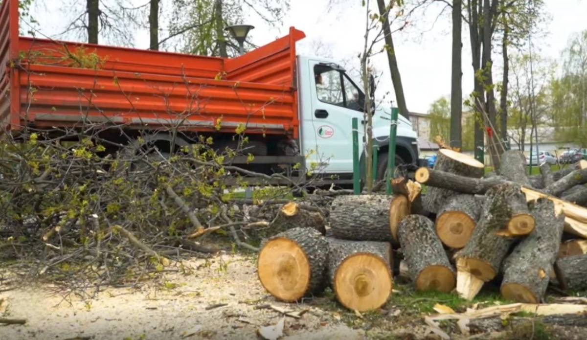В результате сильного ветра в городе было зафиксировано падение дерева на Аллее Героев
