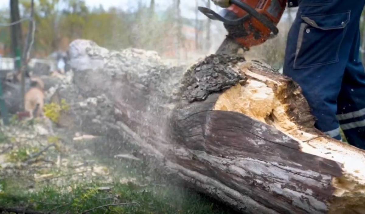 Специалисты предприятия «Красная гвоздика» быстро отреагировали на ситуацию