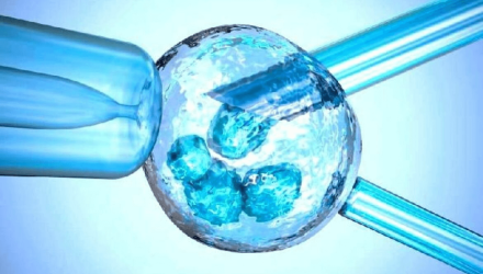 Бесплатное ЭКО в Беларуси