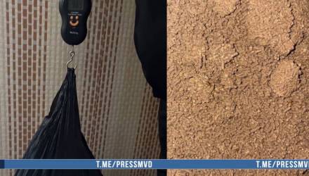 В Гомельской области изъяли почти 10 кг "запрещенки"