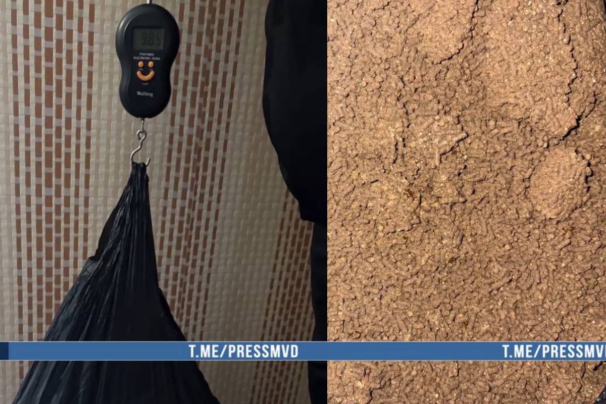 В Гомельской области изъяли почти 10 кг "запрещенки"