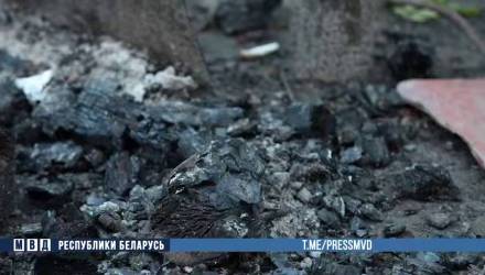 В Гомеле женщина с сыном сожгли тело убитого мужчины и развеяли прах над огородом