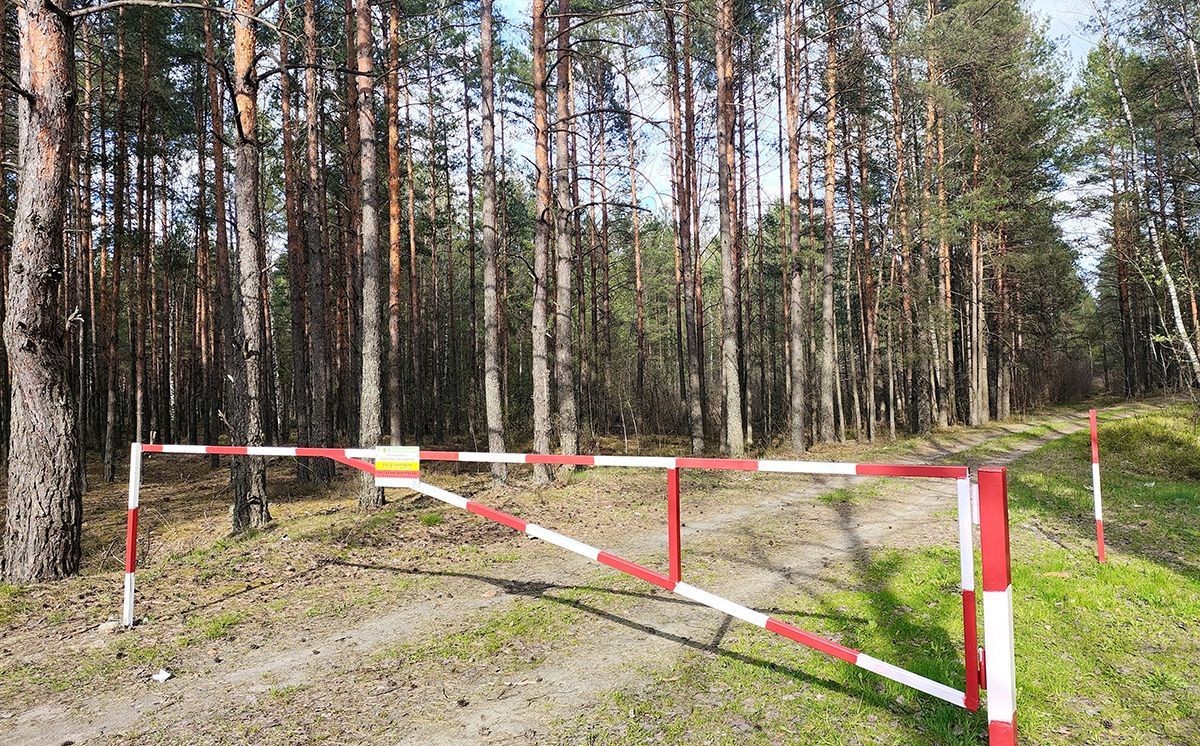В Гомельской области ввели ограничения на посещение лесов
