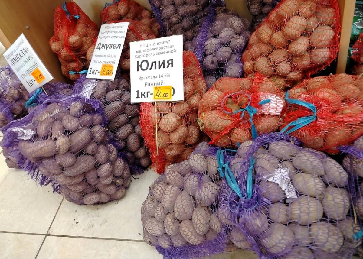 Новости Гомеля