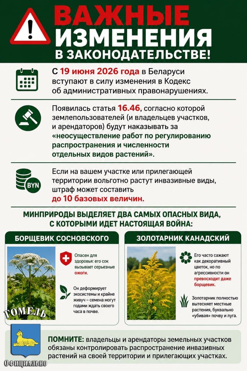 Министерство природных ресурсов и охраны окружающей среды выделяет два наиболее опасных инвазивных вида:
