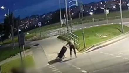 В Мозыре мотоциклист сбил женщину с коляской