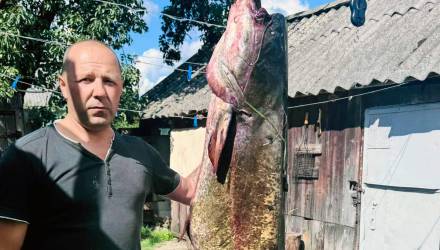 Житель Рогачева поймал двухметрового сома