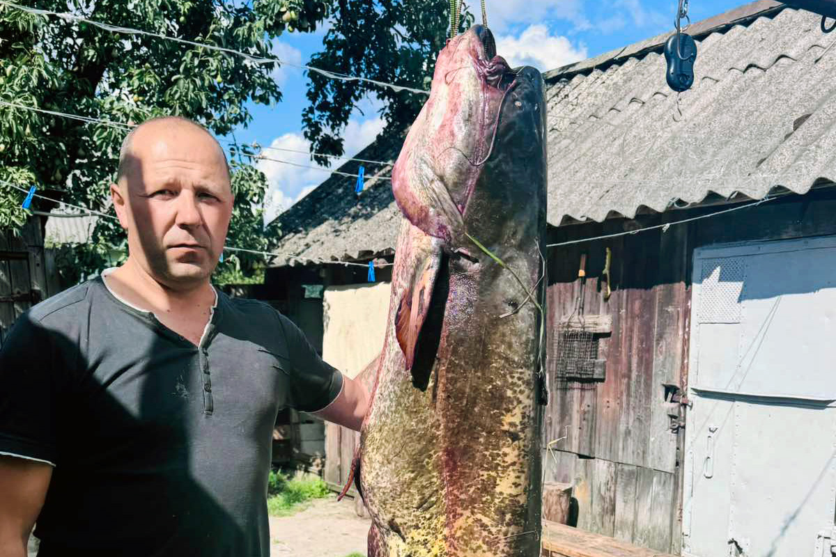 Житель Рогачева поймал двухметрового сома
