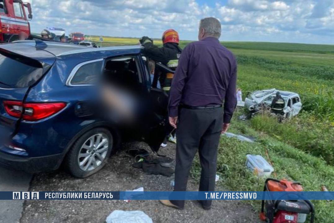 В ДТП в Буда-Кошелевском районе один человек погиб и семь пострадали
